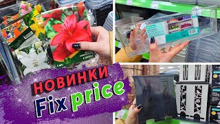 ПОКУПКИ: из магазина Фикс Прайс / Fix Price . Новый завоз к весне. Обзоры товаров.