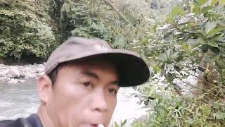 mancing ikan mahseer jenis tombro