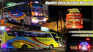 Konvoi Bus Sugeng Rahayu & Aksi Bus Rosalia Indah SHD 389 | Ngebis Seru Di Jalur Non Tol