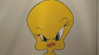 Tweety, the MSX on steroids: a closer look