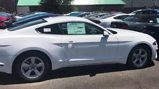 Oxford White Ecoboost Mustang