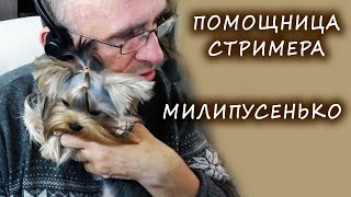 Это очень МИЛИПУСЕНЬКО. 🥳😂😍❤️