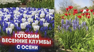 Готовим весенние клумбы с осени