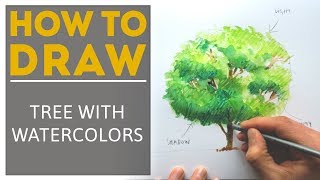 How to Paint a Tree with Watercolor