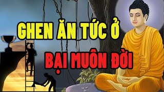 Mỗi Đêm Nghe Lời Phật Dạy "Ghen Ăn Tức Ở Bại Muôn Đời" Đó Là Chân Lý Ai Cũng Nên Nghe Một Lần