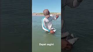 Menjaring di muara dangkal...#Dayatmin06 #Shorts #fish #fisherman #fyp #vidioviral #nelayan