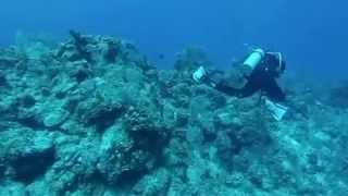 Scuba diving Belize Mar 2013