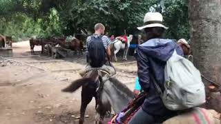 Horse riding parque natural Tayrona Colombia