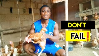 85% of chicken farmers don't know this | chicken farming.