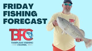 Awesome Weekend Ahead!  Friday Fishing Forecast......