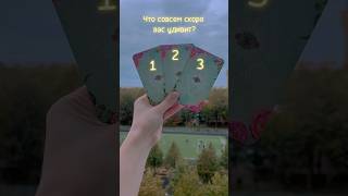 🔮Что совсем скоро вас удивит? #таро #tarot #гаданиеонлайн #4королевы