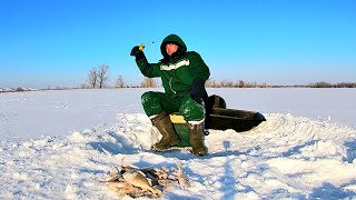 Ушел туда, где  глухозимьем и не пахнет... Трещит леска. Зимняя рыбалка 2021