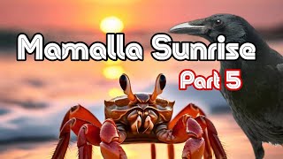 Mamalla Sunrise - Part 5 #reels #sunrise #chennai #vlog #mamallapuram #tourism #live #nature #facts