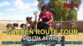 Garden Route Tour in South Africa. Visit CANGO CAVE, CHEETAH WILDLIFE & OSTRICH FARM.