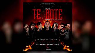 Te Bote (Remix) Ft. Anuel AA, Ozuna, Bad Bunny, Casper Magico, Darell, Nio Garcia, Nicky Jam