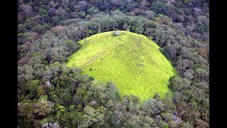 Mythbusting Forests , William Bond (University of Cape Town) OCTF Seminar