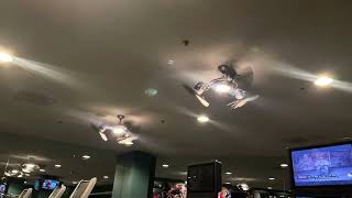 Troposair Tristar Ceiling Fans in a Hotel Gym