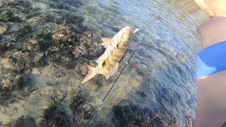 Low Tide Shore & Reef Casting at Pt Aux Piment- Fishing Beach Mauritius 2022