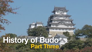 History of Budo Part 3. #martialarts #samurai