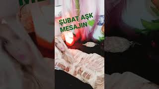 ŞUBAT 2023 AKLINDAKİ KİŞİ #kahvefalı #burçyorumları #fal #tarot