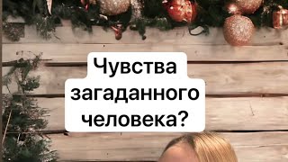 Чувства загаданного человека? Его чувства на картах Таро на 4 варианта ✨подсказка от таро