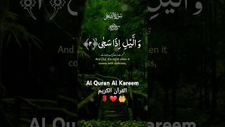 Al Quran Al Kareem القرآن الكريم 🌹 ❤️ 🤲 #trending #quran #islam #allah #quranrecitation