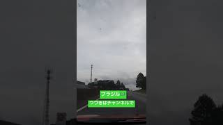 ブラジリアンロード