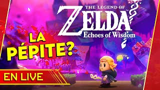 ZELDA Echoes of Wisdom, une PÉPITE?