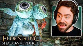 Vou desafiar você 🐸 - ELDEN RING: Shadow of the Erdtree #29 | FunkyBlackCat