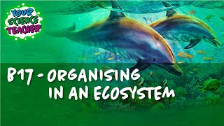 AQA GCSE 9-1 - B17 Organising in an Ecosystem