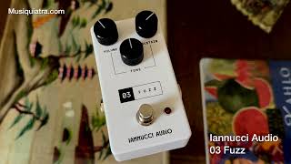 Test: Iannucci 03 Fuzz