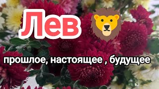 Лев 🦁 прошлое, настоящее и будущее