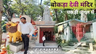 Bokada devi Mandir | बोकड़ा देवी मंदिर |पकड़ी जंगल | Maharajganj | bokada mata ka mandir |new mandir