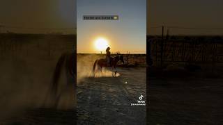 A beautiful combo 🤠￼ #skylarfarming#farmlife#horses#cowboys#cowgirls