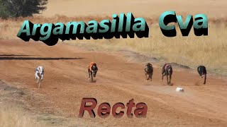 Carrera de recta Argamasilla de Calatrava, domingo 2 Octubre 2022