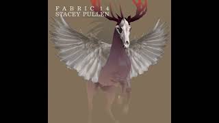 Fabric 14 - Stacey Pullen (2004) Full Mix Album