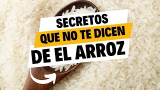 ¡Descubre los increíbles beneficios del arroz! comienza a tener una buena salud