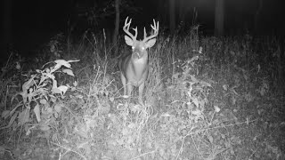 I saw the 9 point 11/10/2023