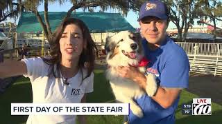 State Fair Dog Live Shot