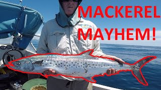 MACKEREL MAYHEM (Lost count of how many fish we lost!)