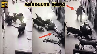 Not 18+: Man Attacked by His Own Dogs and Removed His Clothes. Old Hero Saved Him #Heroic #DogAttack