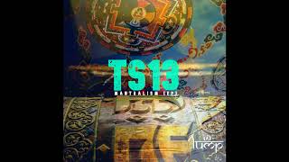 TS13 - Mantralism (Max TenRoM Remix)