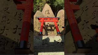 Japan Kyoto Vlog 2 4K HDR Fushimi Inari Shrine Mountain #vlog #japan #kyoto #fushimiinaritaisha