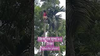 জিবনের মূ্ল্য ২০ টাকা।🥵😥🤲🥶😭#viralshorts #denger#india #bangladesh