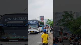 Po safari dharma raya edelweiss dan po raya #busmania #bus #shorts