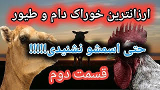 ارزانترین ماده غذایی دام و طیور , جایگزین  سویا , جایگزین سویا دامی , جایگزین سویا در جیره طیور