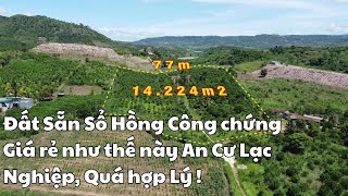 Đất Ven Đà lạt| hơn 1,4ha cà phê thu rộ, gần sông giá sập sàn,