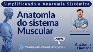 Sistema muscular - Aula 08 - Músculos dos membros inferiores II