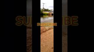 Buggy launch paddle tires playing in the sand | Kyosho Ultima DB RC car @ beach #shorts #Kyosho #DB