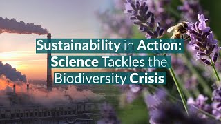 Sustainability in Action: Science Tackles the Biodiversity Crisis